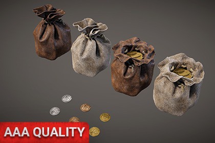 Medieval Coin & Pouch