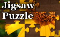 Jigsaw puzzle - Creator Kit