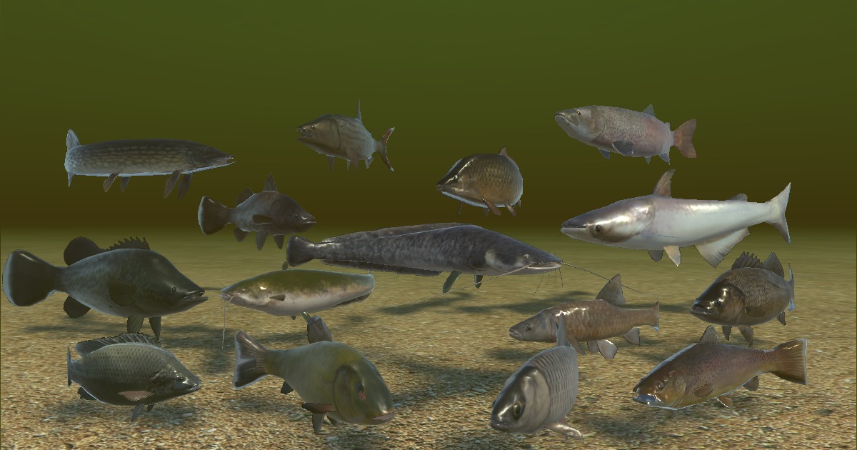 Freshwater Fish vol 2 | Characters | Unity Asset Store