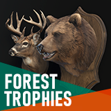 Forest animals – Hunting trophies