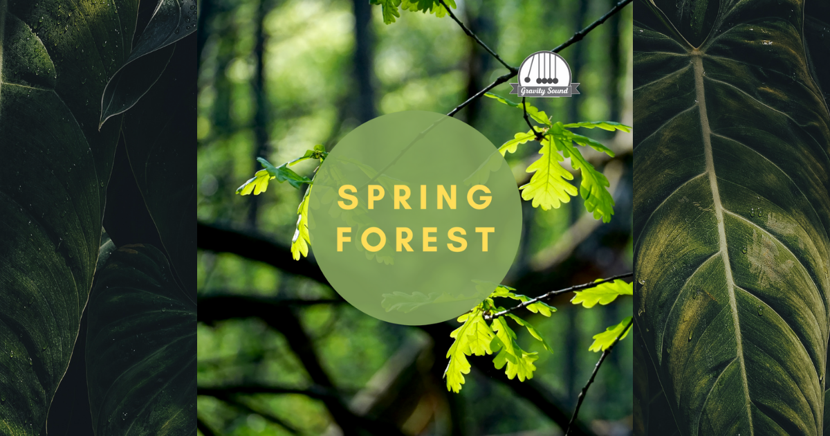 Spring Textures Sounds Spring Forest Sounds | Nature Ambient | Unity Asset Store