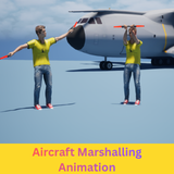 Aircraft Marshalling Animation