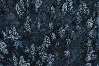 Winter Symphony Music Pack Vol1