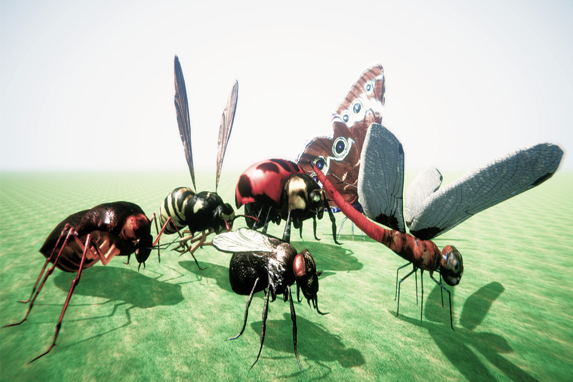 Unity Insects InsectPackLowPolyV2 | Characters | Unity Asset Store