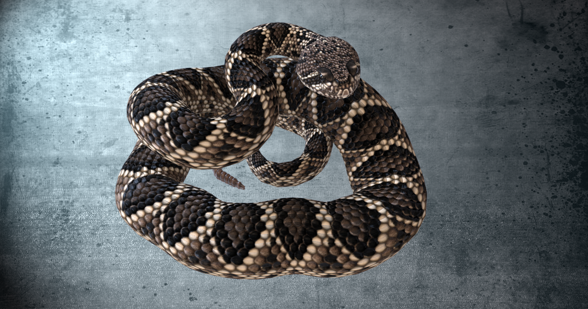 Animated Eastern Diamondback Rattlesnake PBR | Characters | Unity Asset ...