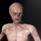 Zombie, Ghoul, Disfigured of wasteland