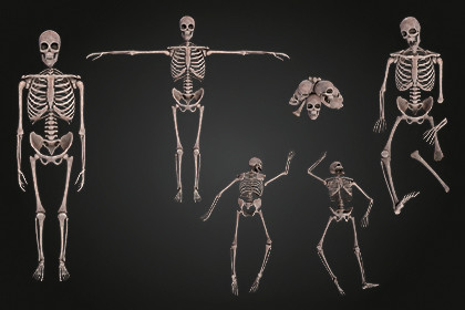 Skeleton Bone Vol. 1