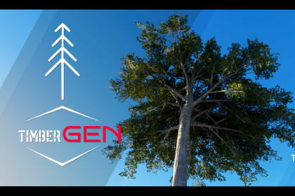 TimberGEN