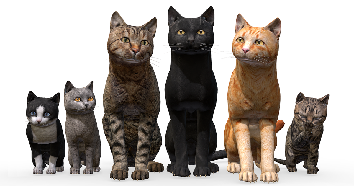 information about cat family