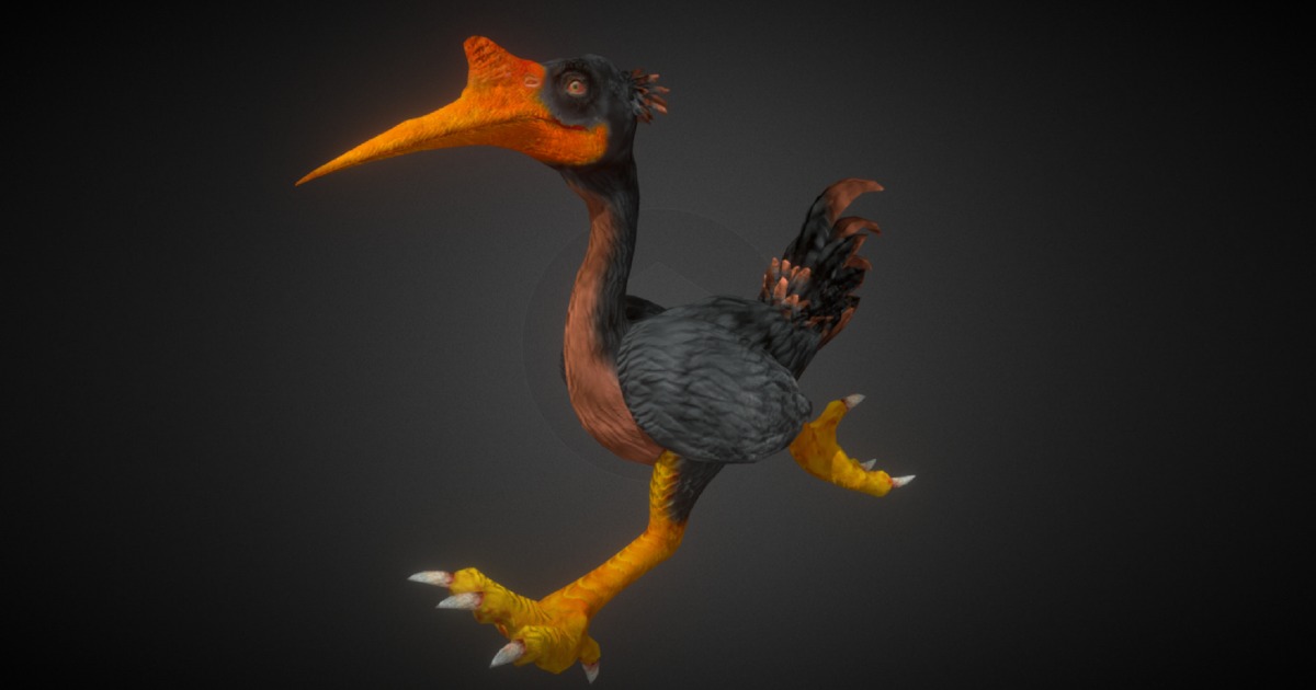 Land Bird Dark | Characters | Unity Asset Store