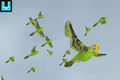 Bird Flock Parakeet 2026