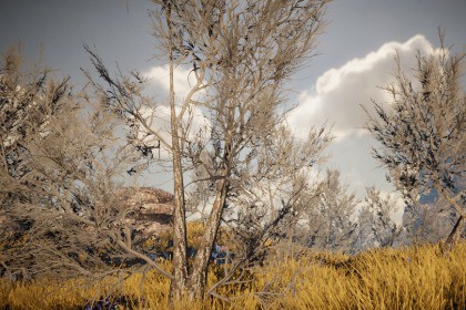Mobile Winter Tree Pack 10