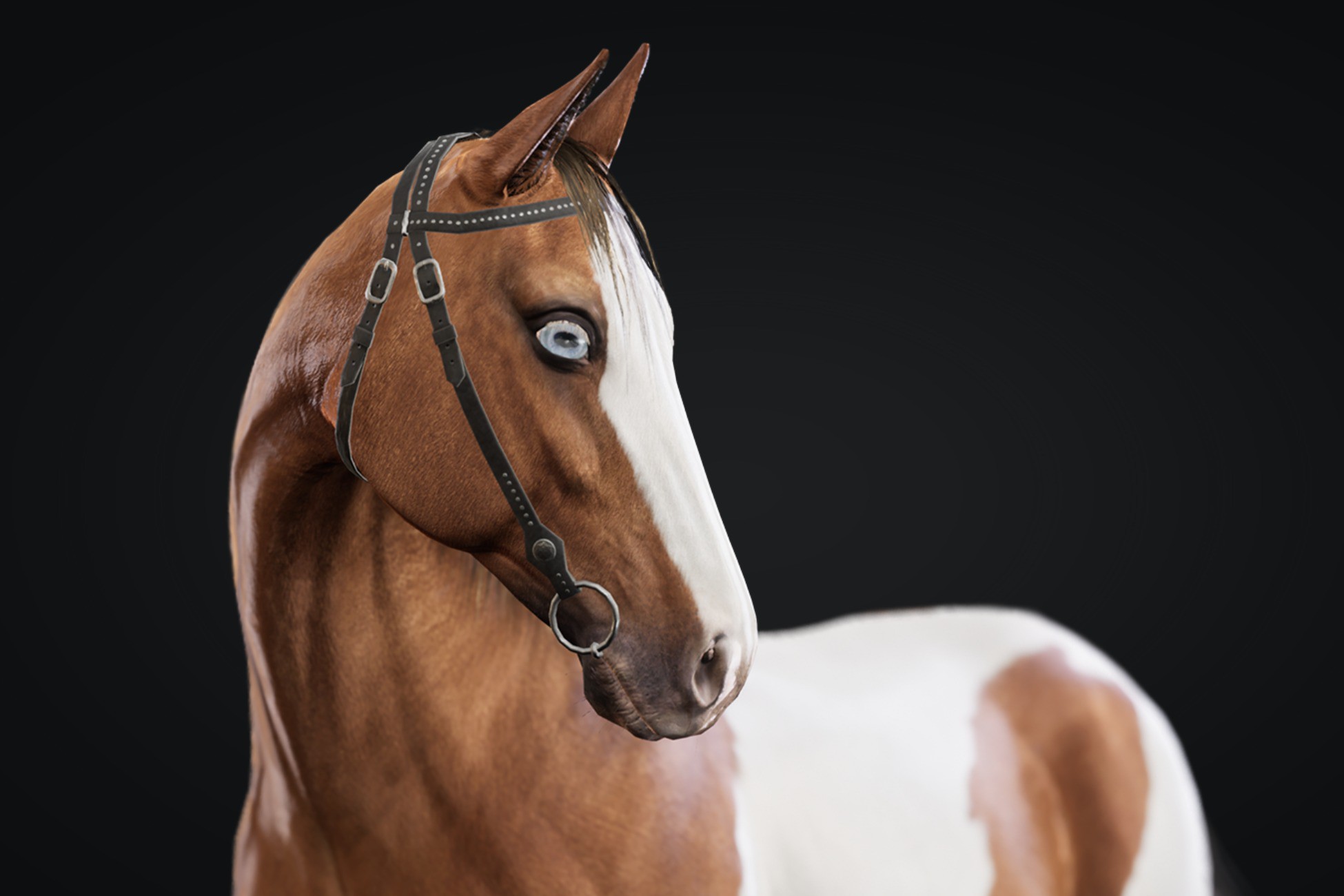 Realistic Horse Herd