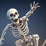 PolyArt Series - Skeletons