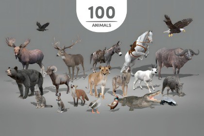 WILDPOLY - Animated Animals – Realistic Pack