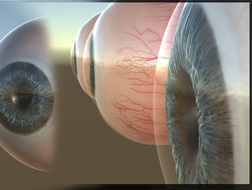 Realistic Eye | 3D | Unity Asset Store