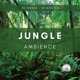 Jungle Ambience