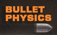 Bullet Physics For Unity
