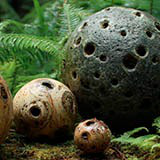 Alien Nature Materials - Wood Bark