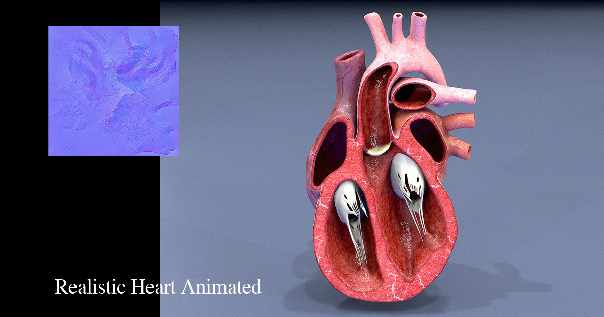 Motion open Heart | 3D Characters | Unity Asset Store