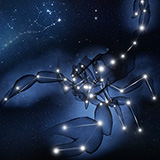 Star scorpion