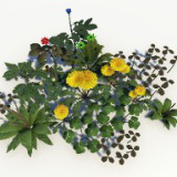 Trees Herbs Plants Pack