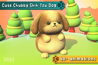 Cute Chubby Shih-Tzu Dog
