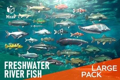 Freshwater river fish - large pack