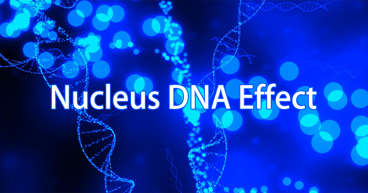 Nucleus DNA Effect By maything | VFX Particles | Unity Asset Store