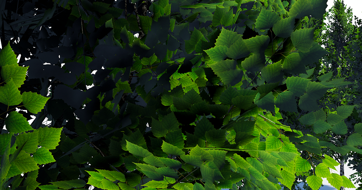 TreeGen04-BirchTrees02 | 3D Trees | Unity Asset Store