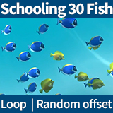Schooling 30 Coral Fish - Blue & Yellow Tangs