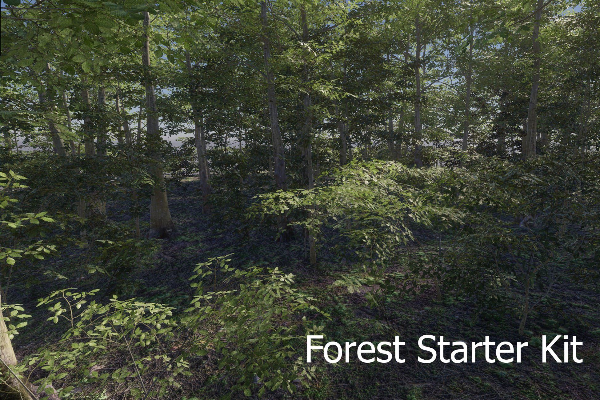 Forest Trees HDRP | 3D Trees | Unity Asset Store