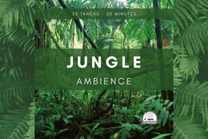 Jungle Ambience
