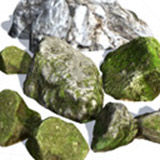 Mountain Forest Rocks