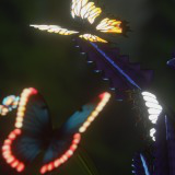 Mega Butterflies Pack