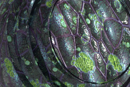 Infection Texture & Material Vol. 02