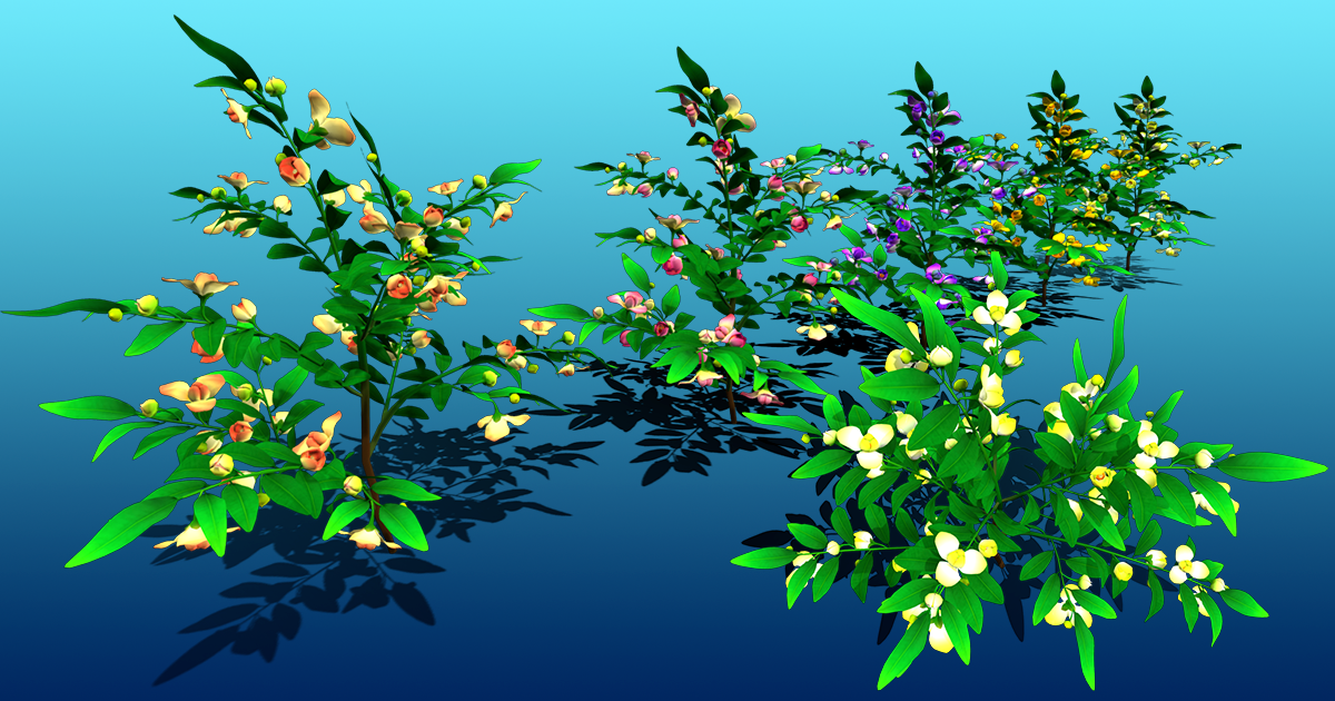 Flower Rumdul | 3D Flowers | Unity Asset Store