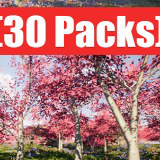 Mobile Tree Collection (30 Packs)