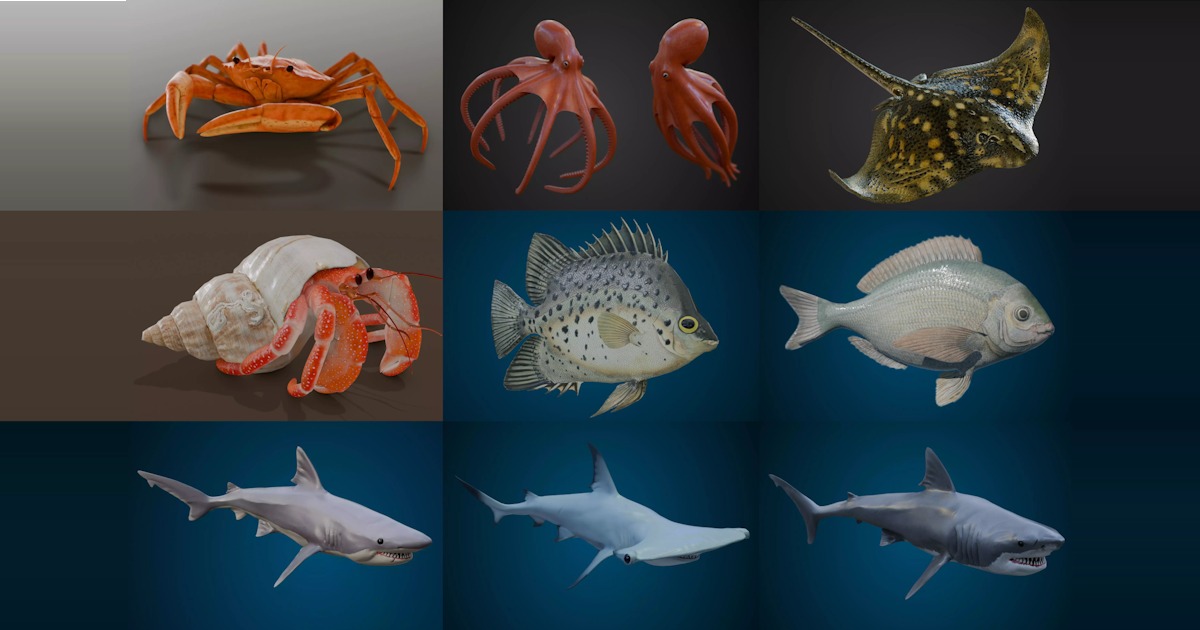 Unity Whale Animated sealife bundle | Characters | Unity Asset Store