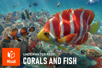 Corals and fish - underwater reef