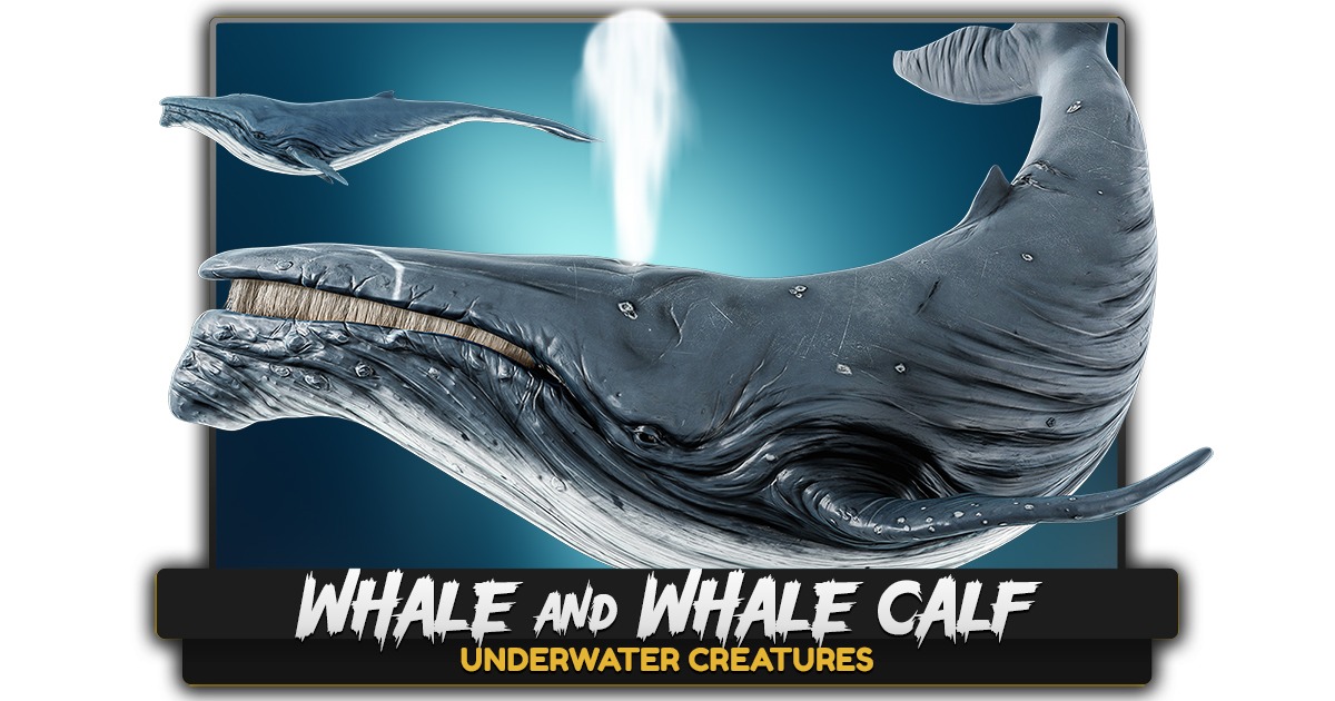 Whale & Whale Calf - Realistic 3D Model - Underwater Creature Monster ...