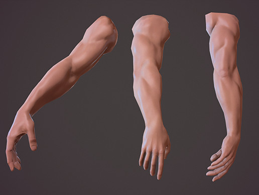 FPS Hands | 3D Characters | Unity Asset Store