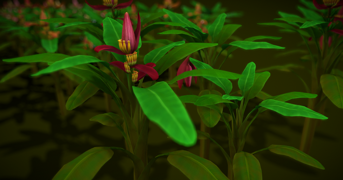 Flower Banana | 3D Flowers | Unity Asset Store
