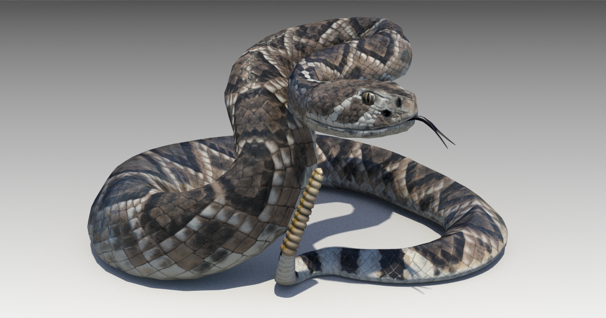 Unity Store Snake Rattlesnake | Characters | Unity Asset Store