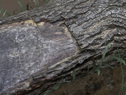 Logs and Natural Barriers | 3D | Unity Asset Store