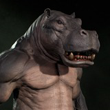 Hippo Humanoid
