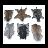 animal pelts volume two: cow, zebra, tiger, bear, deer, goat
