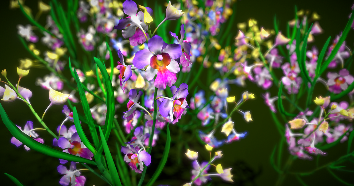 Flower Miss Joanquim | 3D Flowers | Unity Asset Store
