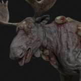 Rot Moose
