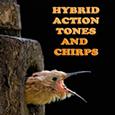 Hybrid Action Tones and Chirps